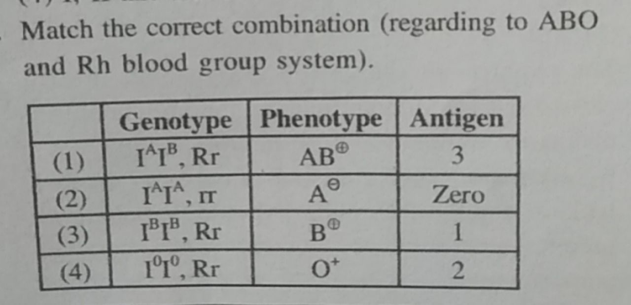 Chatquestion Match The Correct Combination Regarding To Abo And Rh Blood Group System Antigen Genotype Phenotype I I Rr I I It Ipi Rr 1 1 Rr Ab 3 1 A Zero 2 1 3 4